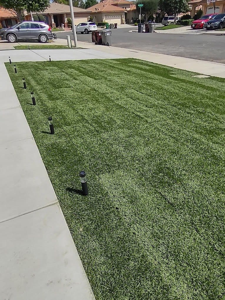 Lush green lawn with garden lights installed along a concrete pathway.