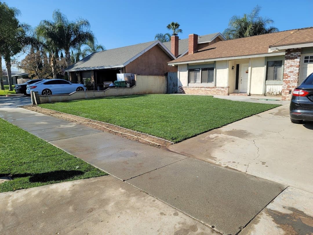 Lawn care transformation showcasing freshly laid sod in a residential front yard.
