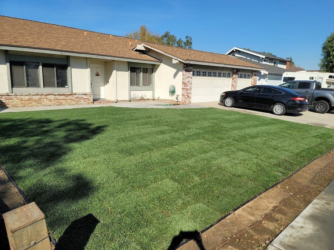 Freshly landscaped front yard with green lawn, beige house, and parked cars under clear blue sky.
