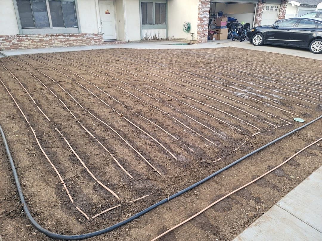 Irrigated garden plot with lined drip irrigation system installed on bare soil.