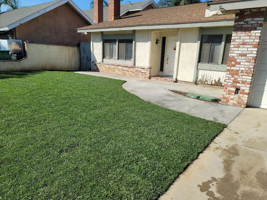 House with green lawn and concrete walkway, featuring brick accents and sunny ambiance.