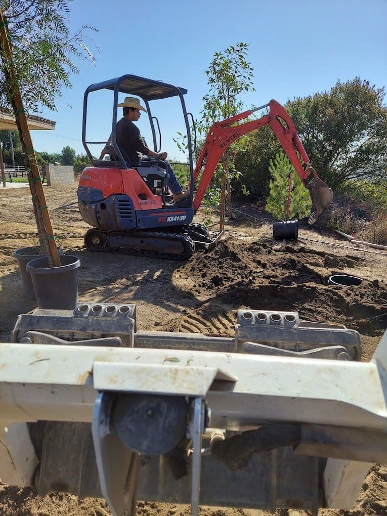 Excavator operator digging in a yard, surrounded by trees and landscaping equipment.