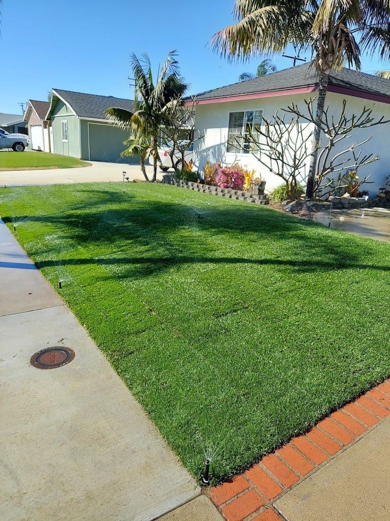 Lush green lawn with sprinkler system and tropical plants in a residential front yard.