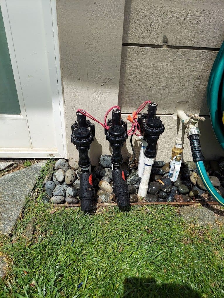 Irrigation system with three black sprinkler heads and connecting hoses near a house wall.
