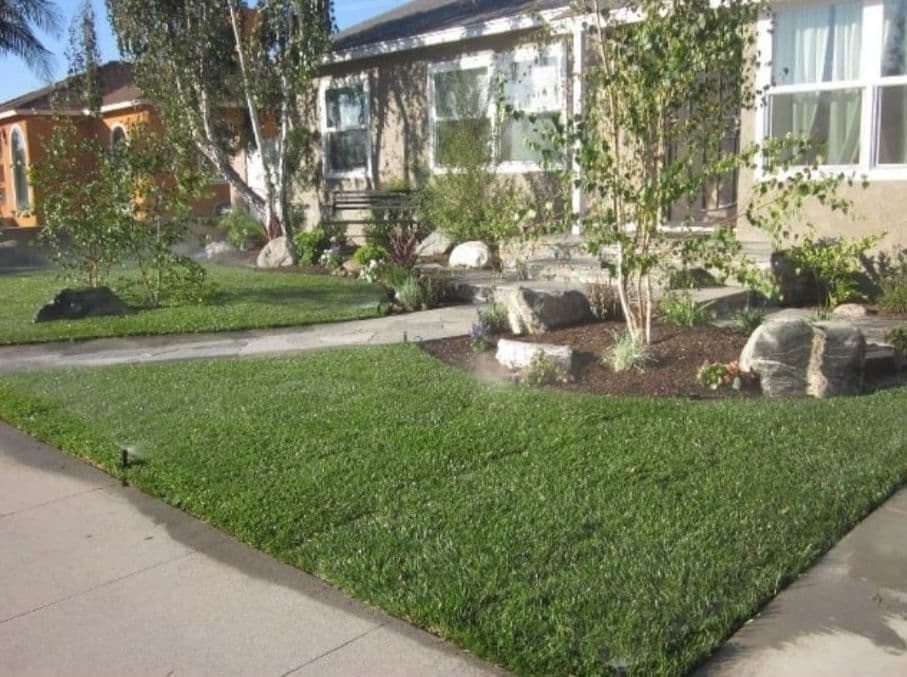 Lush green front yard with landscaped plants, stones, and a pathway in bright sunlight.