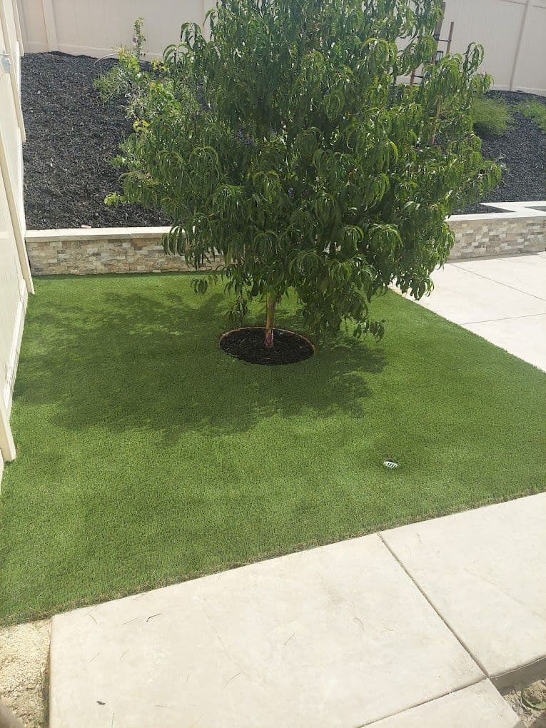 Lush green artificial grass lawn with a tree, providing an eco-friendly landscaping option.