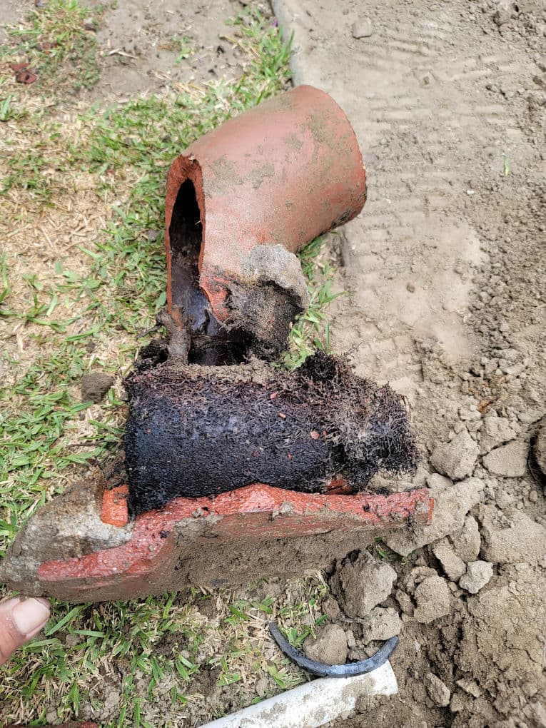 Broken clay pipe with roots and dirt, illustrating plumbing and drainage issues in landscaping.