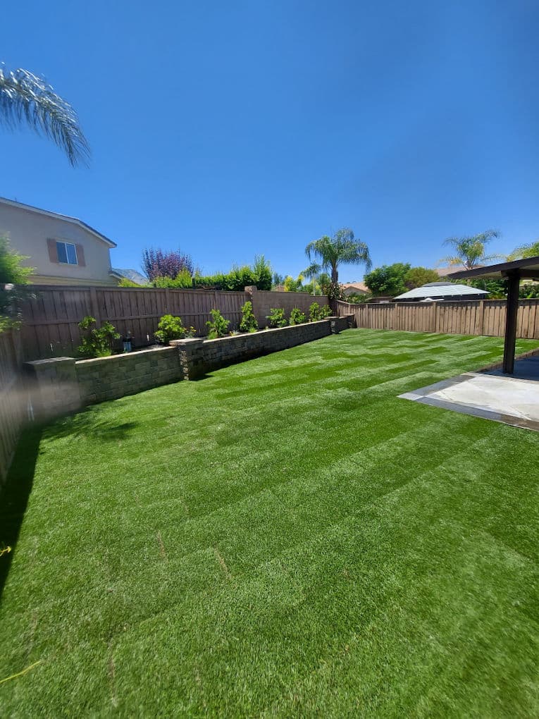 Lush green backyard with landscaping, stone wall, and clear blue sky. Ideal for outdoor living.