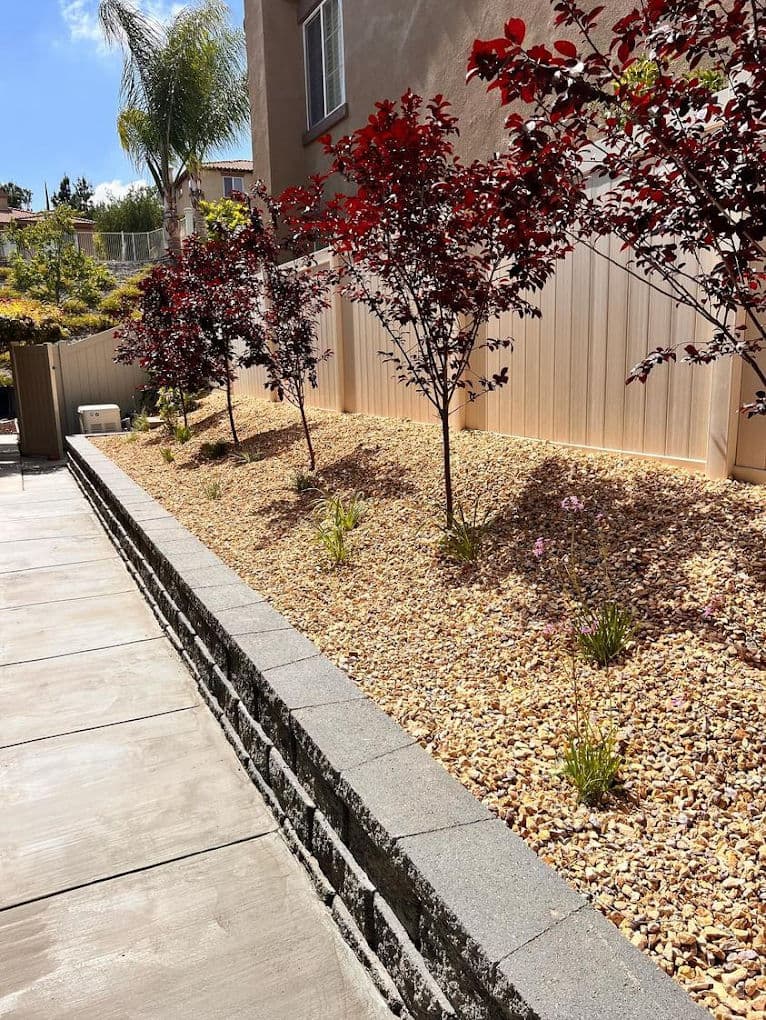 Landscape featuring red-leaved trees and gravel garden bed next to a stone wall.