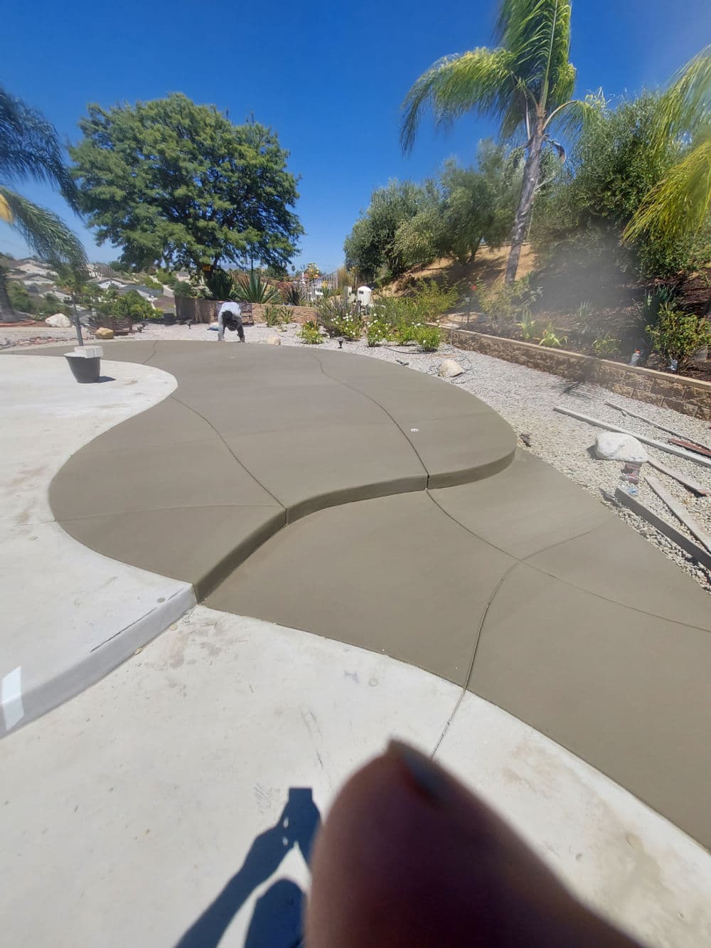 Freshly poured concrete walkway with curved design in a landscaped garden setting.
