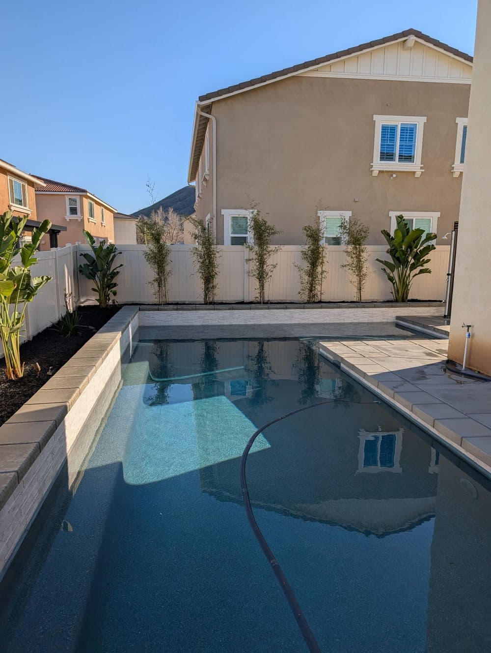 Residential backyard with a clear swimming pool, surrounded by plants and a house in sunlight.