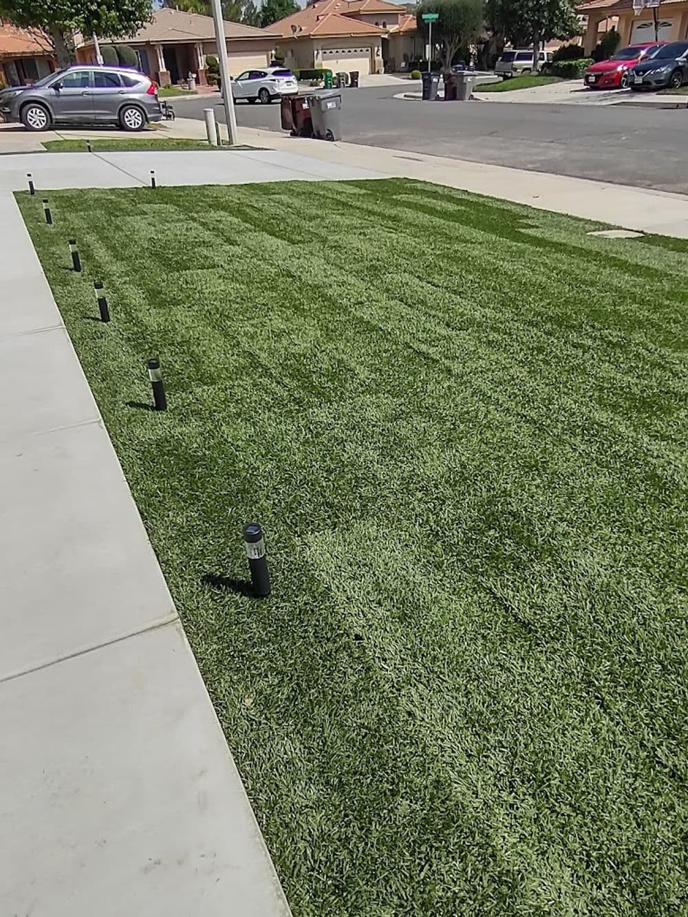 Freshly installed lush green sod with landscape lights in a suburban front yard.
