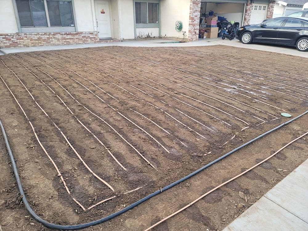 Irrigated garden bed with drip irrigation lines installed on bare soil in residential yard.