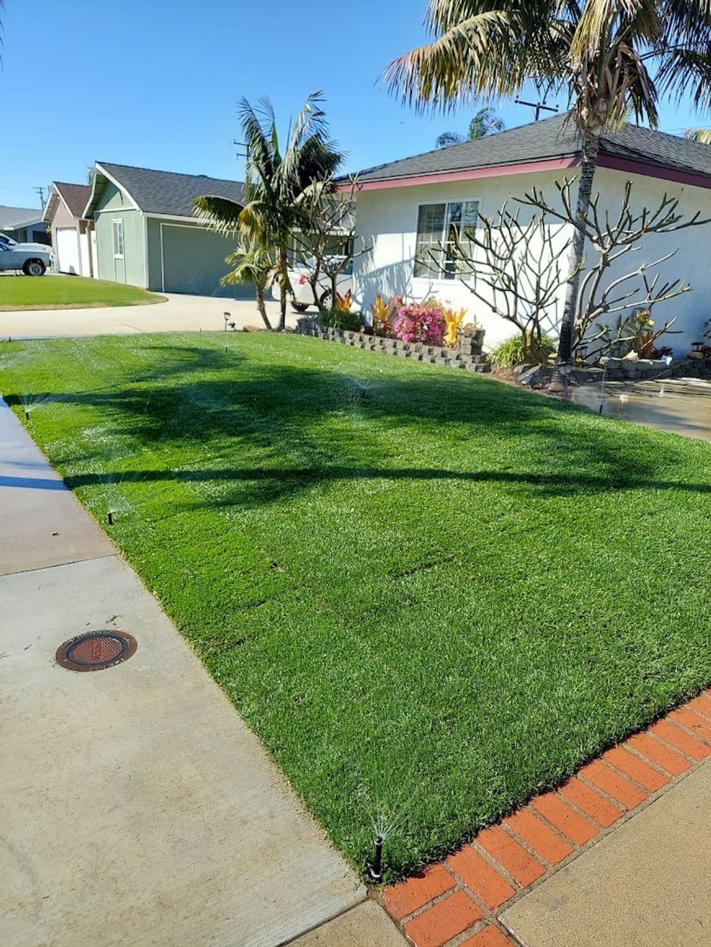 Green lawn with sprinklers in a sunny residential yard, surrounded by tropical plants.