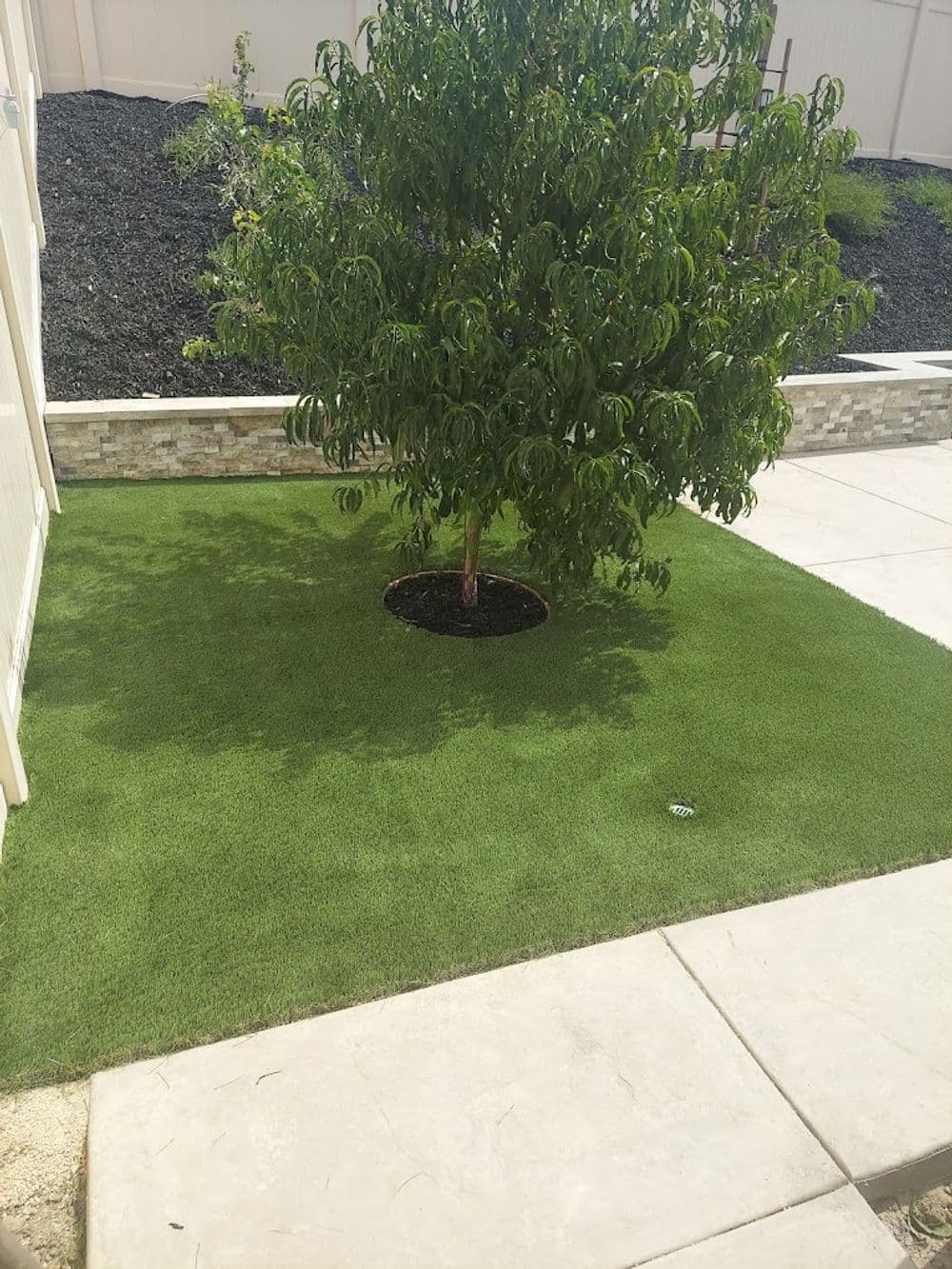 Lush green lawn with a small tree at the center and decorative stone border.