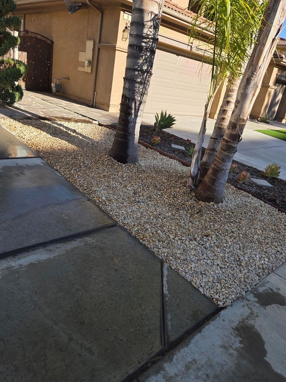 Landscape design featuring palm trees, gravel ground cover, and concrete pathways.